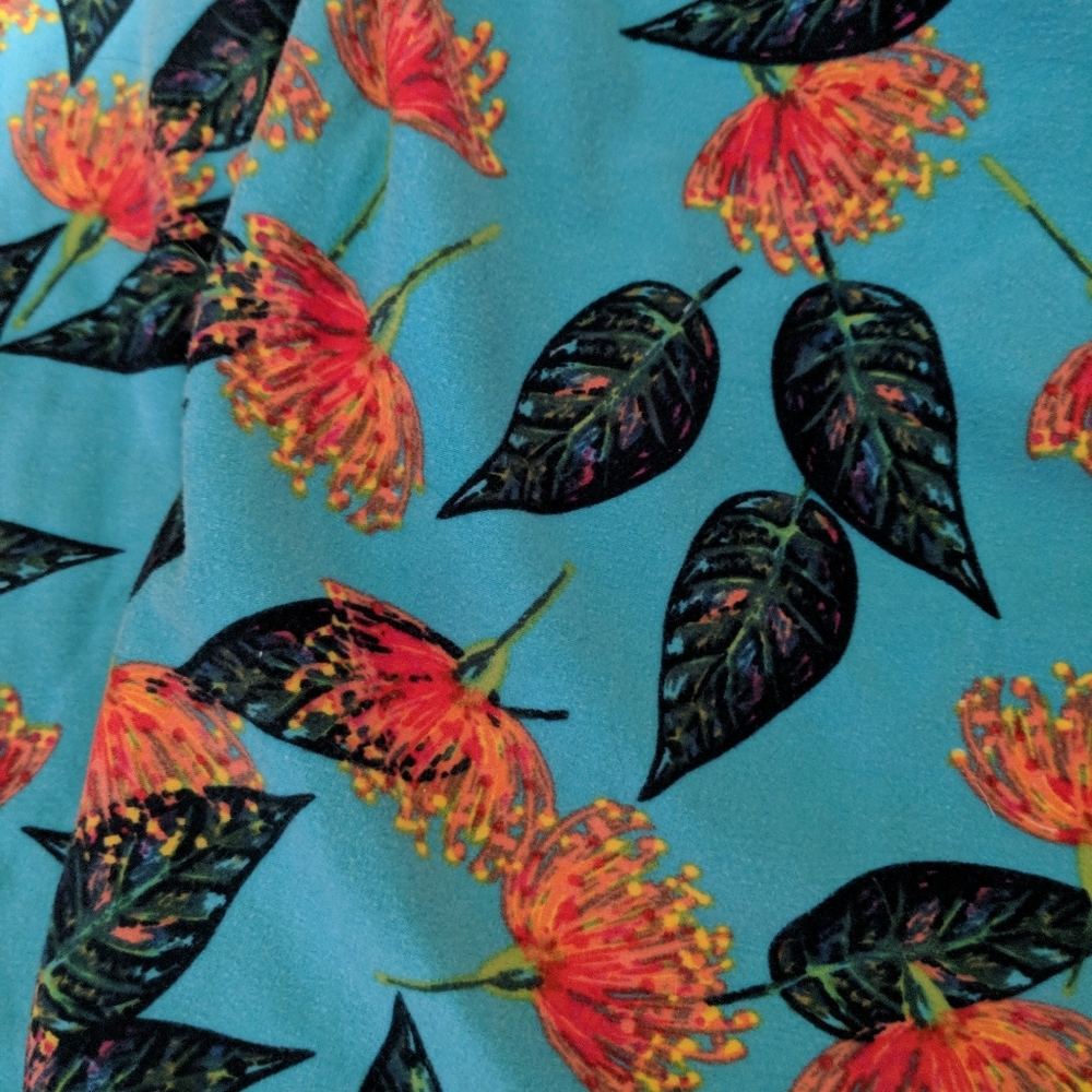 Tall and curvy Lularoe leggings